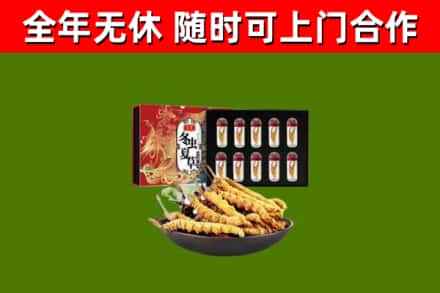 榕城回收冬虫夏草价格